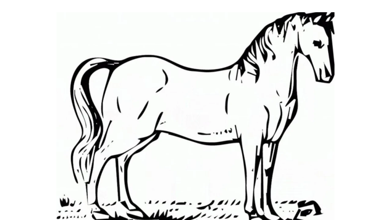 gambar sketsa hewan